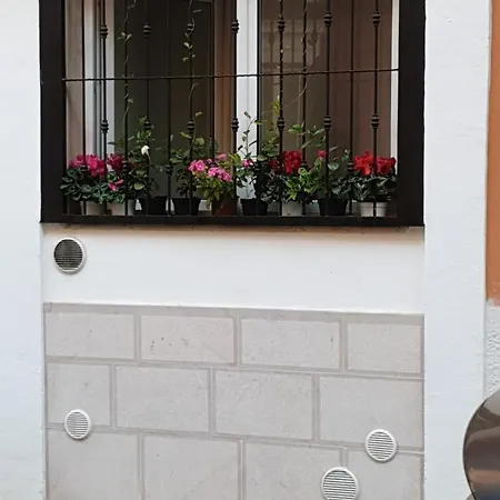 Garruba 101 Pensión